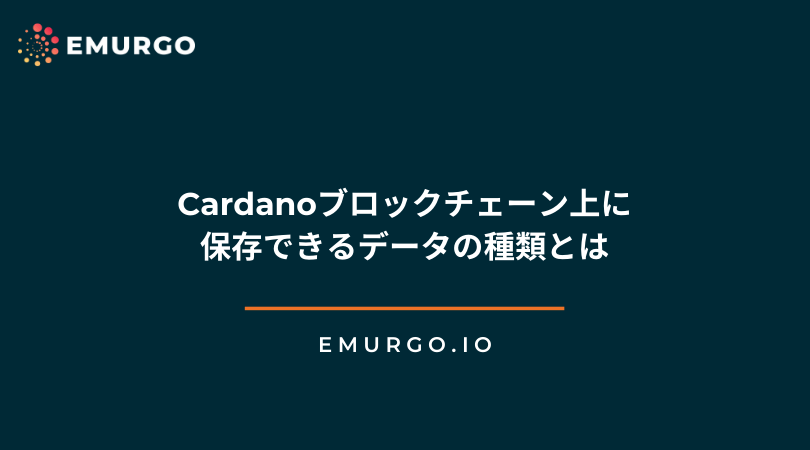 what kind of data can be stored on the cardano blockchain jp 1