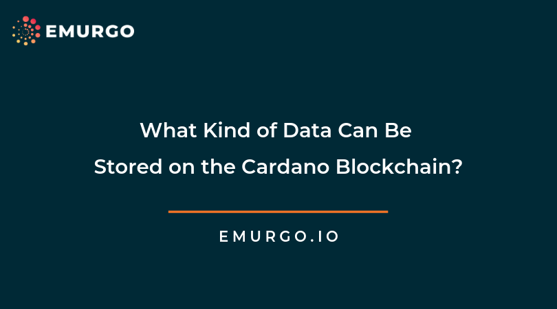 what kind of data can be stored on the cardano blockchain