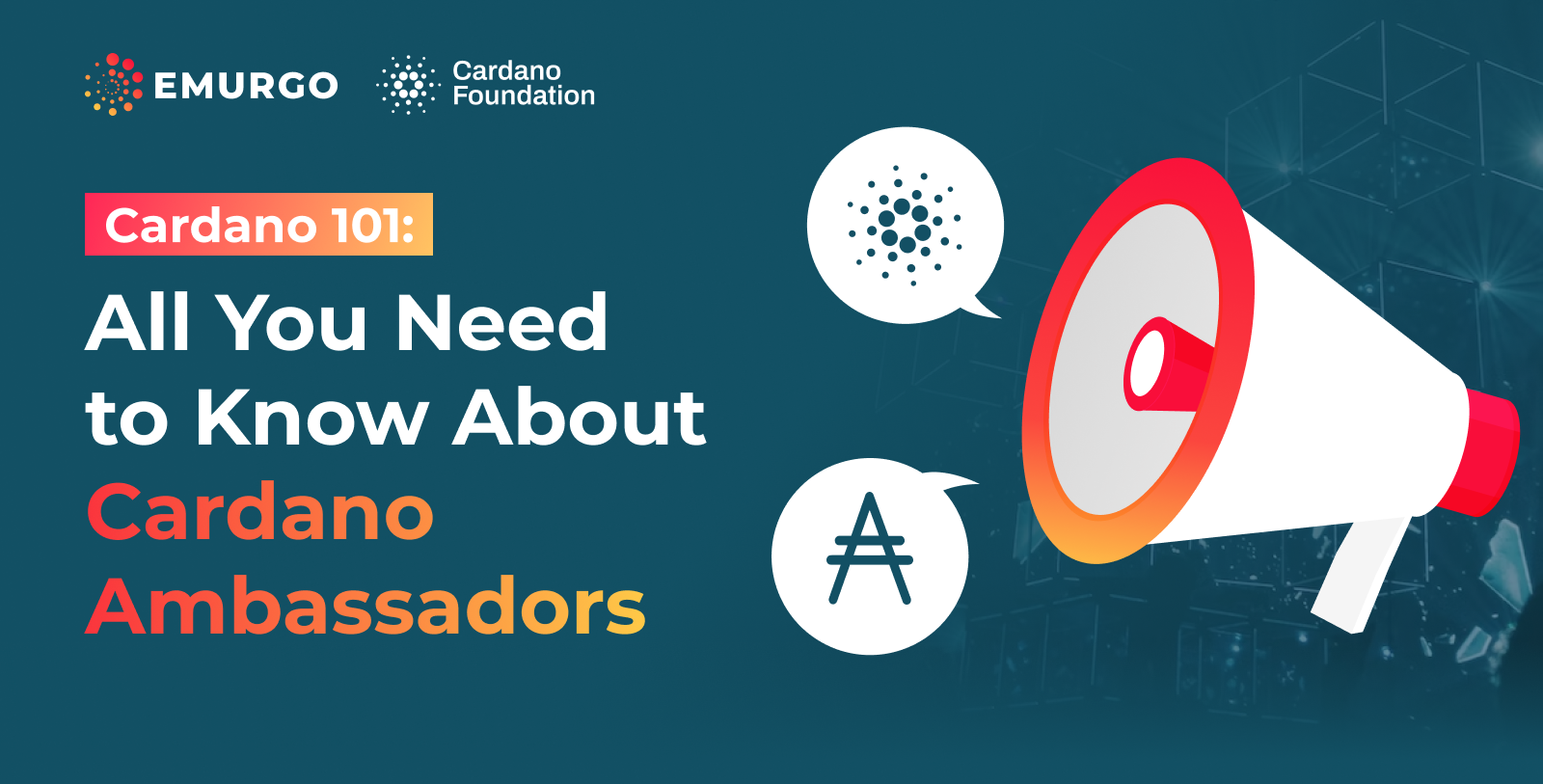 Cardano 101: All You Need to Know About Cardano Ambassadors